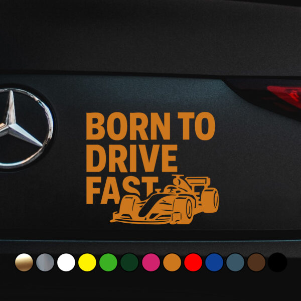 born to drive fast 04